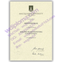 macquarie university diploma 